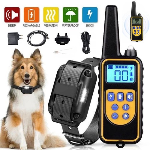 800m hunde anti bell halsband - hunde,