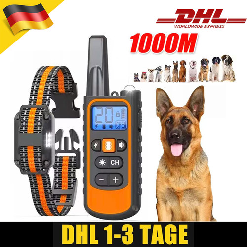 1000m hund ausbildung - 1000m,