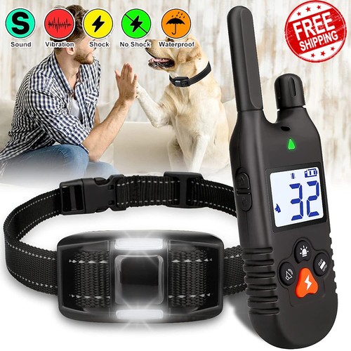 1000m automatisches hunde - automatisches,