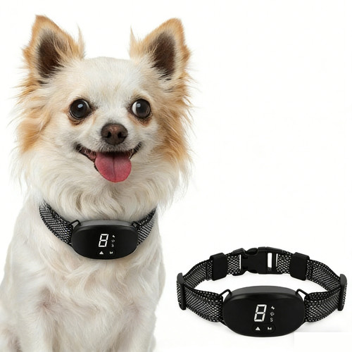 3in1 antibell hundehalsband - 3in1,