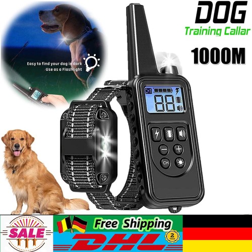 1000m hund ausbildung - 1000m,