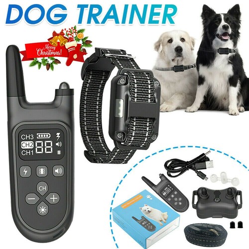 Anti bell hund ausbildung - hund,