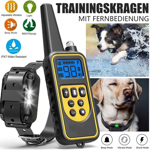 Hunde anti bell - hunde, halsband