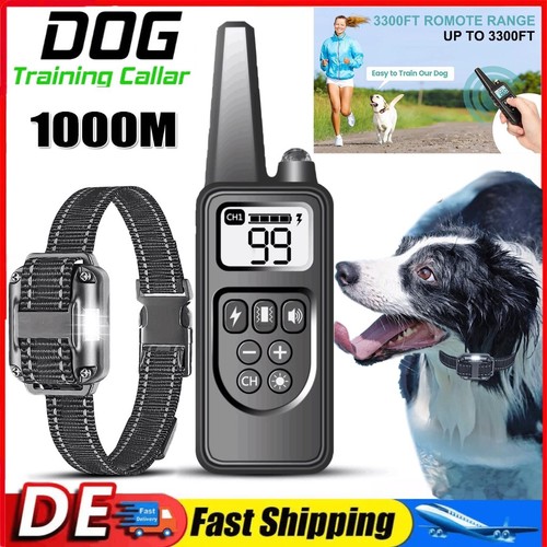 1000m hund ausbildung - 1000m,