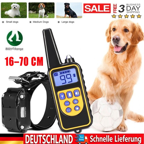 Antibell training - antibell,