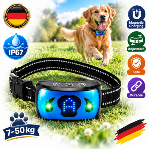 Hund stromschlag - hund,