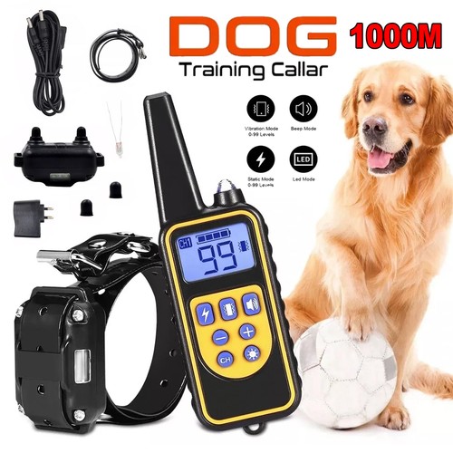 1000m hund ausbildung - 1000m,