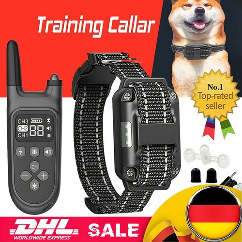 1000m erziehungshalsband - 1000m,