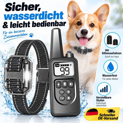 1000m hund ausbildung - 1000m,
