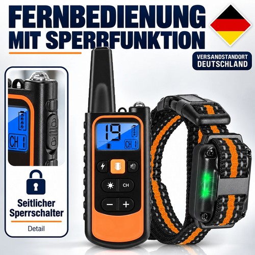 1000m hund ausbildung - hund,