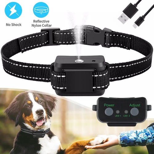 Anti bell halsband - halsband, hunde