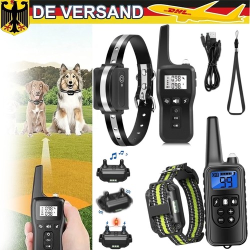 1000m hund ausbildung - 1000m,