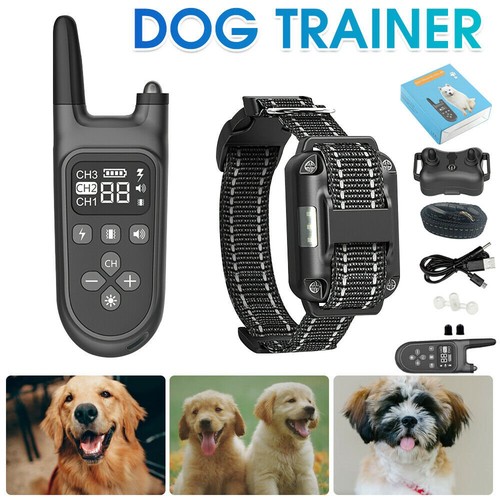 800m antibell hundehalsband - 800m,