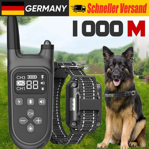 Hund ausbildung stromschlag - hund,