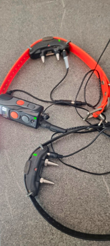 Anti bell trainingshalsband - anti-bell,