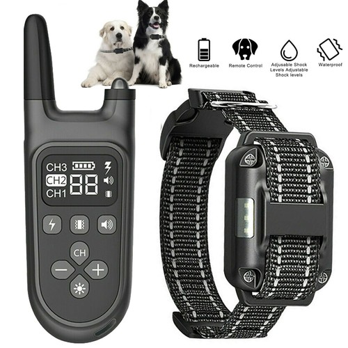 Hunde anti bell halsband - hunde,