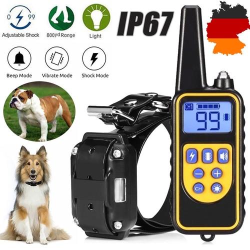 800m antibell hunde halsband - hunde,