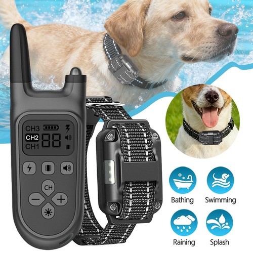 Antibell hundehalsband - antibell,