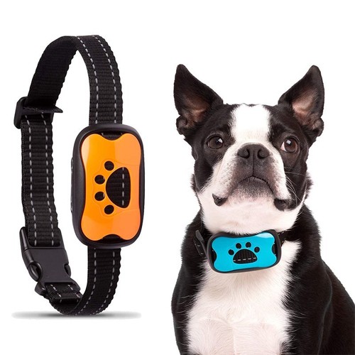 Anti bell halsband hunde - halsband,