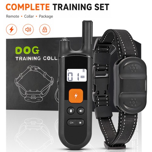 1000m hund ausbildung - 1000m,