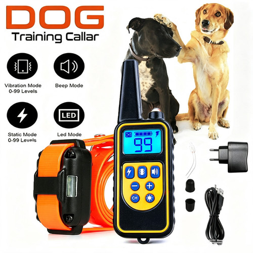 800m hund ausbildung - hund,