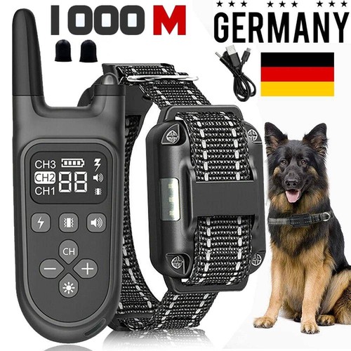 1000m hund ausbildung - 1000m,