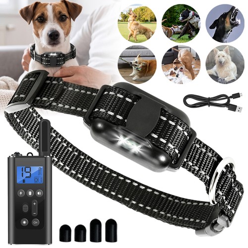 Anti bell halsband hunde - anti,