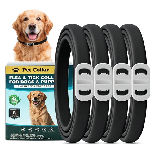 Flohhalsband für hunde floh - hunde,