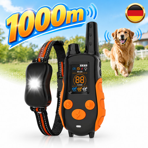 Hund ausbildung stromschlag - hund,