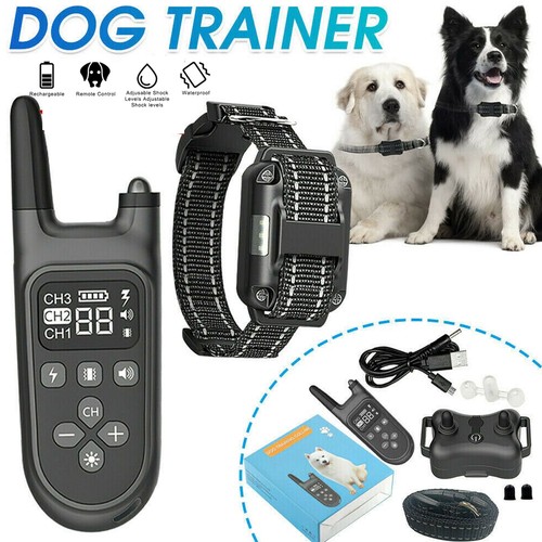 Antibell hundehalsband - antibell,