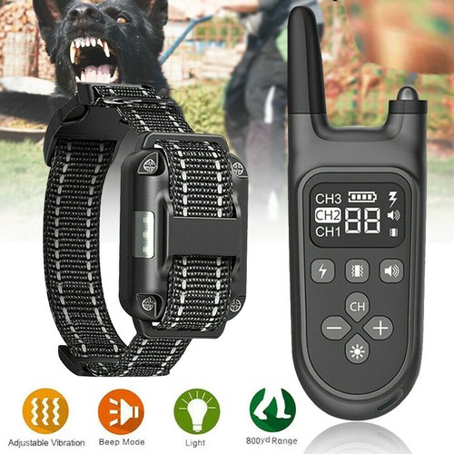 Hunde anti bell halsband - hunde,
