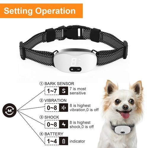 Antibell hundehalsband - antibell,