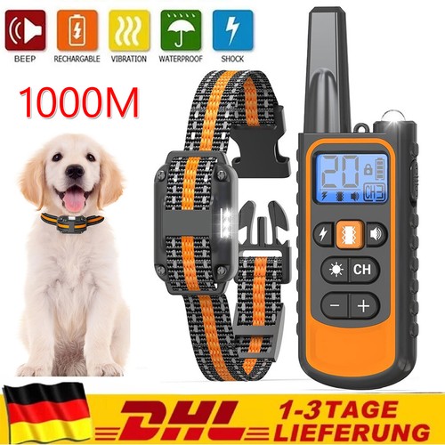 1000m hund ausbildung - 1000m,