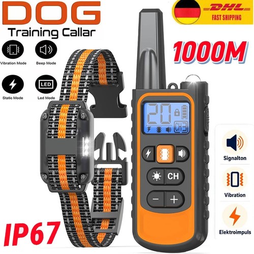 1000m hund ausbildung - 1000m,