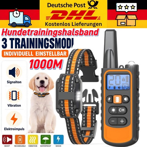 1000m hund ausbildung - 1000m,
