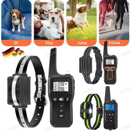 Hund ausbildung stromschlag - ausbildung,