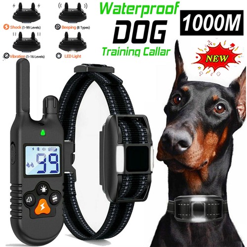 1000m hund ausbildung - 1000m,