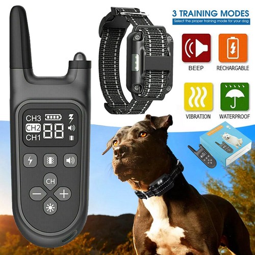 Antibell hund ausbildung - antibell,