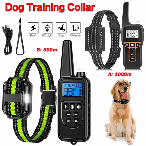 1000m hund ausbildung - 1000m,