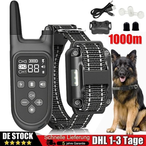 1000m hund ausbildung - 1000m,