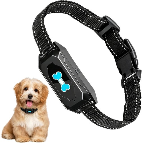 Antibellhalsband hund - antibellhalsband,