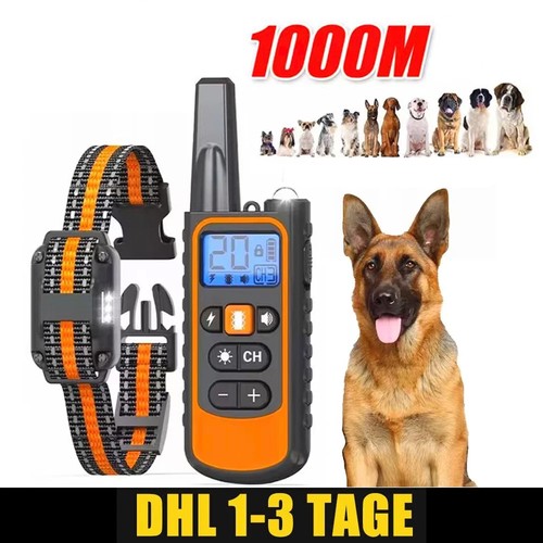 Hund ausbildung stromschlag - ausbildung,