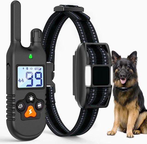 1000m hund ausbildung - 1000m,