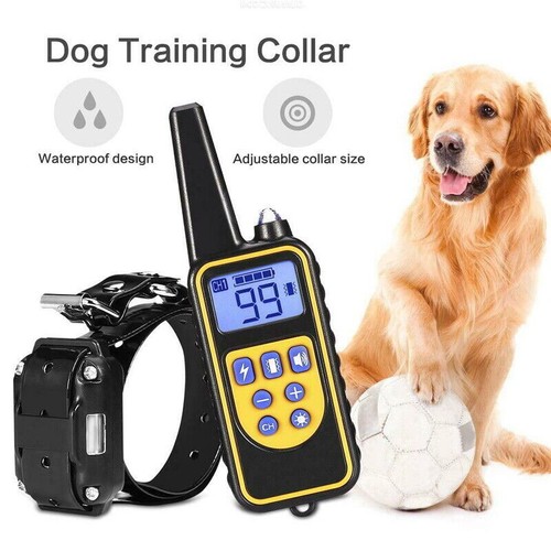 800m antibell hunde - antibell, halsband